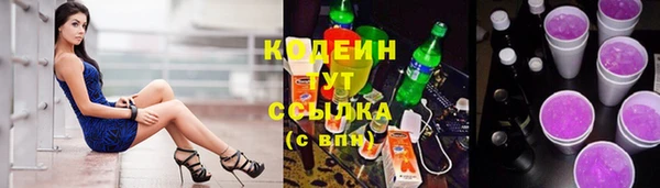 трава Коряжма
