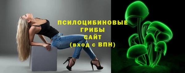 трава Коряжма