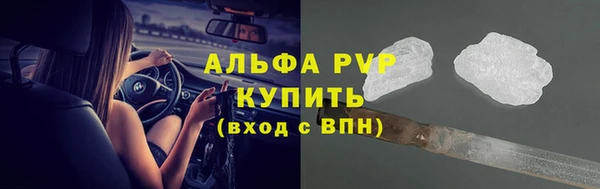 трава Коряжма