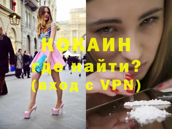 трава Коряжма