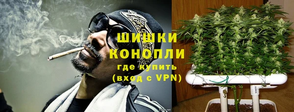 Альфа ПВП Костерёво