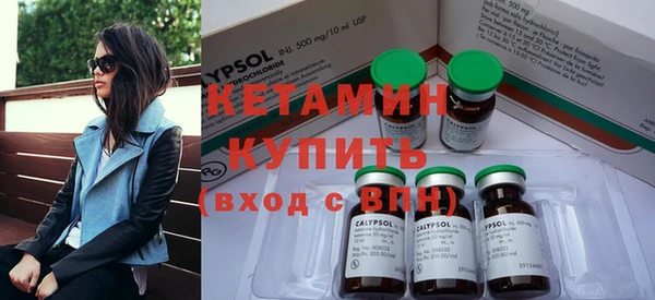 трава Коряжма