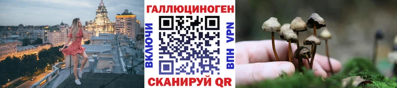 Псилоцибиновые грибы Cubensis  Купить где  Сельцо 